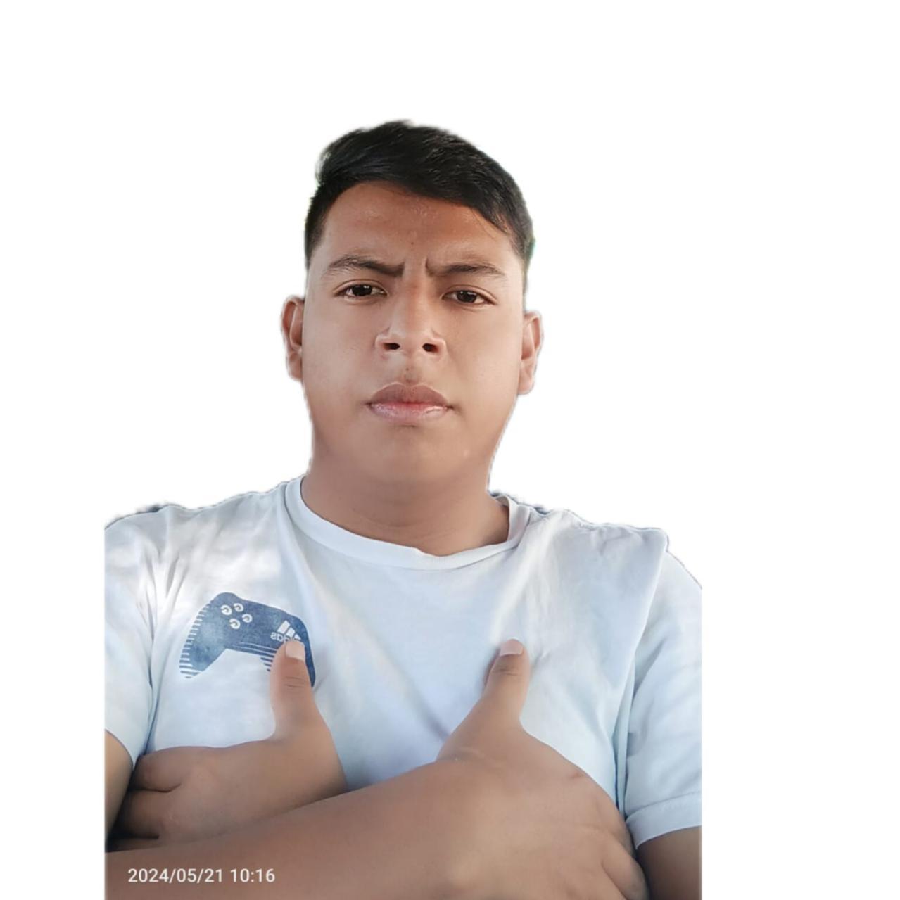 User Image