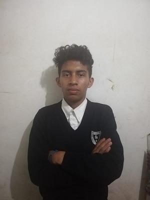 User Image