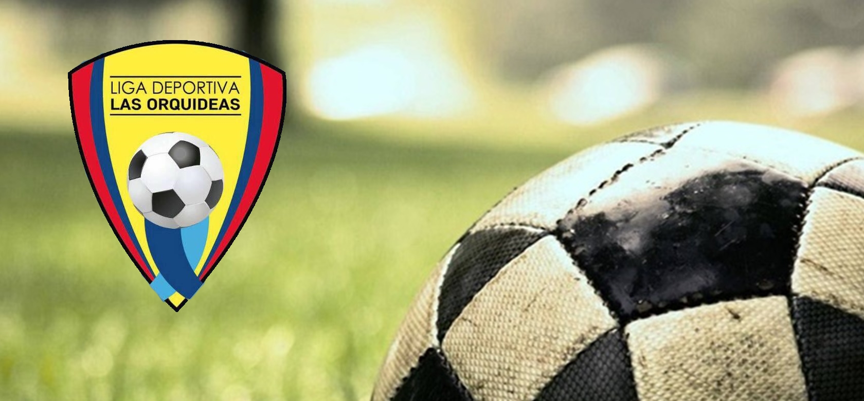 Liga Deportiva Las Orquideas